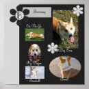 Recherche de scrapbooking art Album