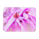 Recherche de jolie magnets Rose