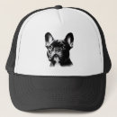 Recherche de bouledogue francais casquettes Chien