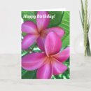 Suche nach plumeria karten Hawaii