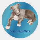 Recherche de chiot autocollants Animal