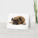 Suche nach nicht schuldig postkarten Haustier