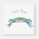 Suche nach krabben magnete Tierwelt