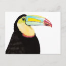 Recherche de oiseau toucan cartes postales Coloré