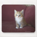 Recherche de canapé tapis souris Horizontal