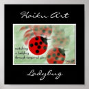 Recherche de insecte de dame posters Insectes
