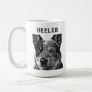 Recherche de blue heeler Races de chiens
