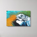 Suche nach tierauge leinwandbilder Natur