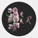 Recherche de orchidée noire autocollants Botanique