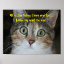 Suche nach vermissten poster Spaß