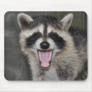 Suche nach waschbären mousepads Niedlich