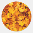 Recherche de feuille automne autocollants Chute