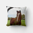 Recherche de cheval drôle coussins Animal