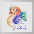 Suche nach zwei hunde poster Einzigartig