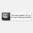 Recherche de furet voiture autocollants Animal familier