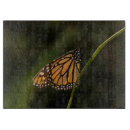 Recherche de monarque planches à découper Danaus plexippus