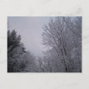 Suche nach winterbaum poster Fotografie
