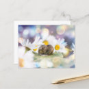 Suche nach kleinigkeiten postkarten Blume
