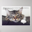 Recherche de citations de chat posters Mignon