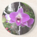 Suche nach orchidee untersetzer Blumen