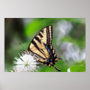 Suche nach tigerstreifen poster Natur