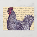 Recherche de rooster cartes postales Antique