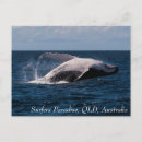 Recherche de surfeurs cartes postales Mer