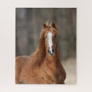 Recherche de casques puzzles Animal