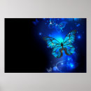 Suche nach morpho poster Schmetterling