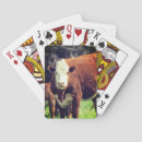 Recherche de bovin jeux de cartes Animal de ferme