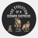 Recherche de berger allemand drôle autocollants Animal