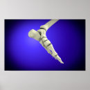 Suche nach tendon poster Menschlicher körper