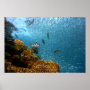 Recherche de monde marin posters Bleu