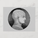 Recherche de phrénologie cartes postales Cerveau