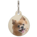 Suche nach spitz hundezubehör Welpe