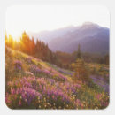 Suche nach mountains aufkleber Wiese