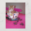 Recherche de tasses cartes postales Animaux