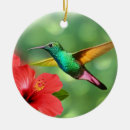 Suche nach kolibri ornamente Blumig