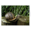 Recherche de lingot cartes postales Lent