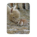 Recherche de bébé de pâques magnets Bébés