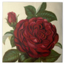 Suche nach niedliche rose fliesen Vintag