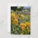 Recherche de jaune pourpre rose Jardin