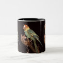 Recherche de éteint tasses Oiseau