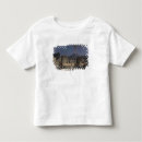 Suche nach pompeji tshirts Vesuv