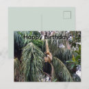 Recherche de gibon cartes postales Primate