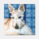 Recherche de balai magnets Scottie