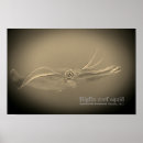 Suche nach tintenfisch poster Tentakel