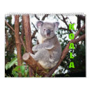 Recherche de koala calendriers Nature
