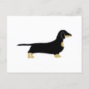 Suche nach schwarze dackel postkarten Hund