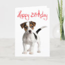 Suche nach jack russell terrier karten Welpe